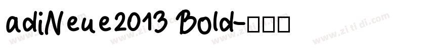 adiNeue2013 Bold字体转换